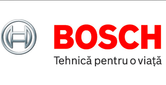 Junior Accounting Program @ Bosch Timisoara